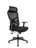 Эргономичное кресло Asper