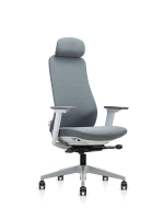 Эргономичное кресло Meduza