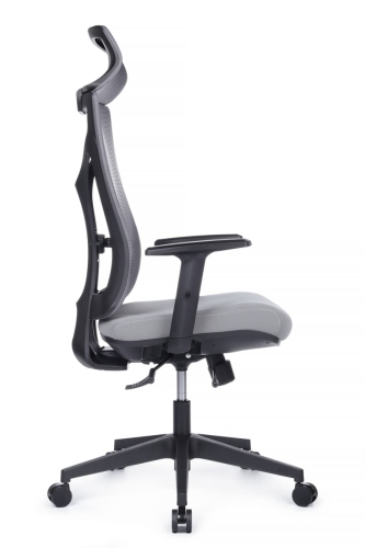 Эргономичное кресло Astra