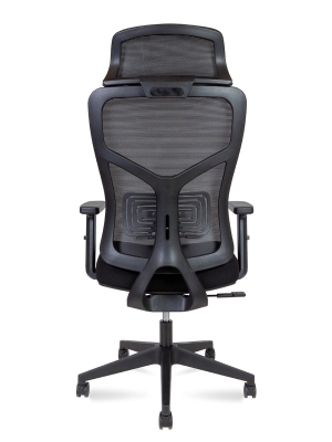 Эргономичное кресло Asper