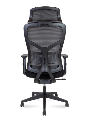 Эргономичное кресло Asper