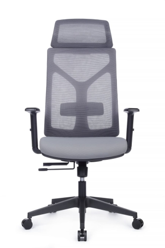 Эргономичное кресло Astra
