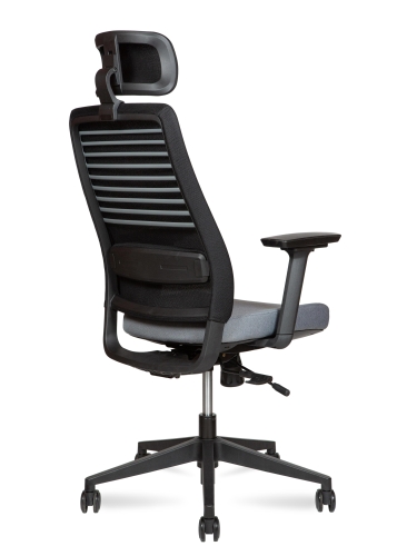 Эргономичное кресло Case