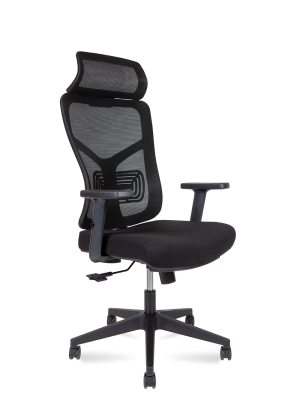 Эргономичное кресло Asper