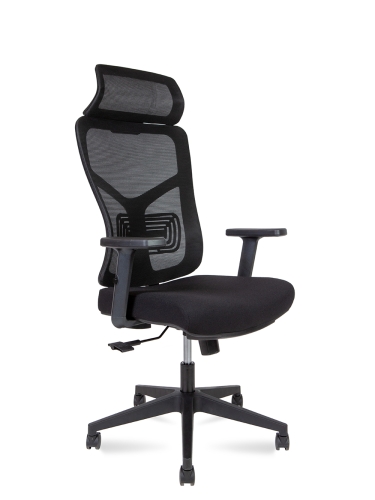 Эргономичное кресло Asper