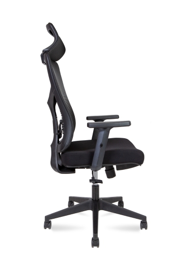 Эргономичное кресло Asper