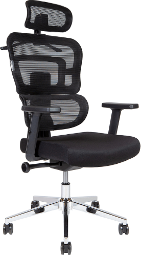 Эргономичное кресло Ergo