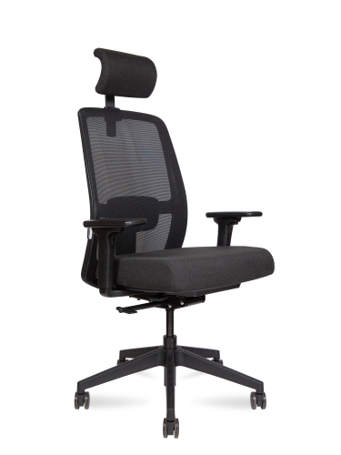 Эргономичное кресо Altai SL Эргономичное кресо Altai SL